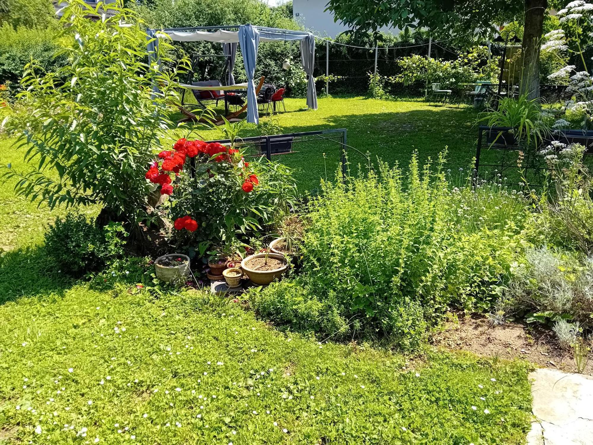 Apartment Baci For 4 Guests Любляна Экстерьер фото