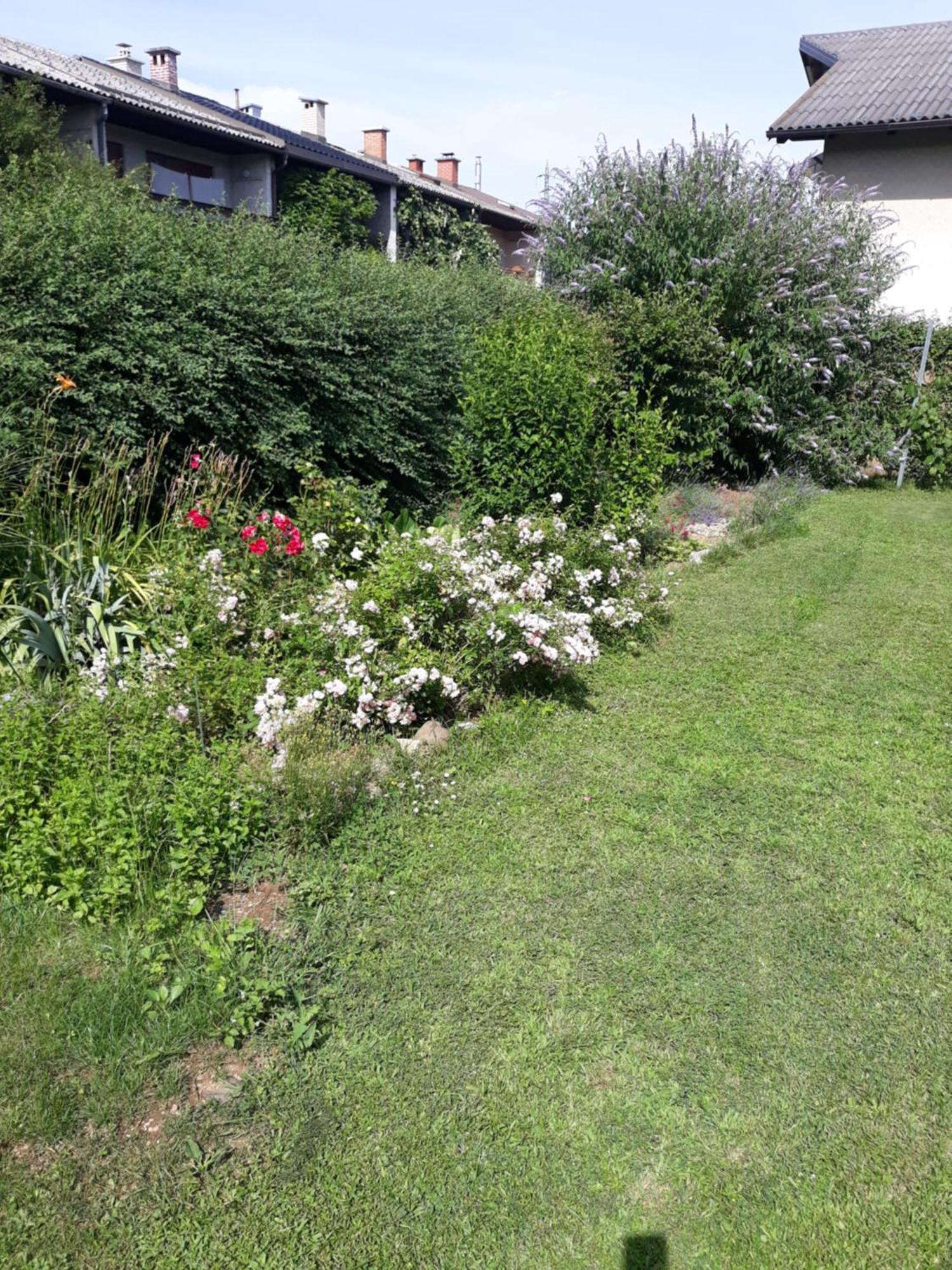 Apartment Baci For 4 Guests Любляна Экстерьер фото